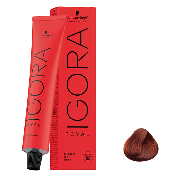 Coloração Igora Royal 6-77 Louro Escuro Cobre Extra 60g Schwarzkopf