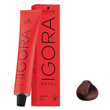 TINT-IGORA-ROYAL-60G-6.5