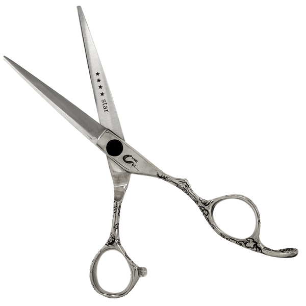 TES-LASER-UMI-BR-6 TES-LASER-UMI-BR-6