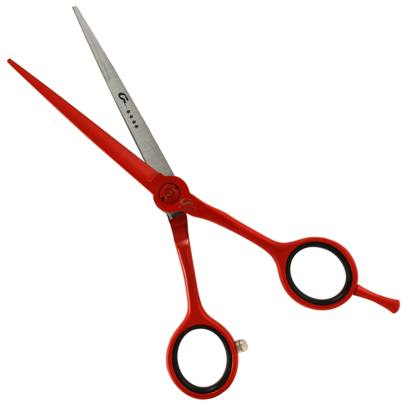 TES-LASER-UMI-VERM-6 TES-LASER-UMI-VERM-6