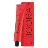 TINT-ROYAL-IGORA-60G-5.5
